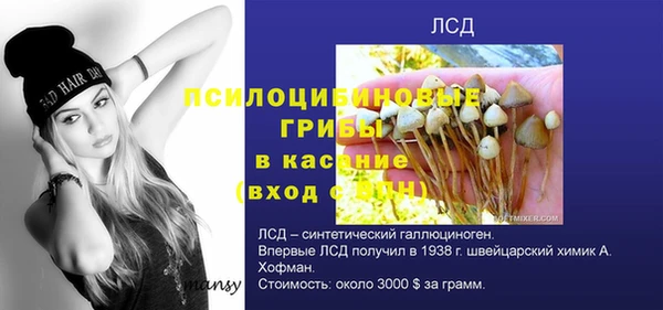 винт Липки